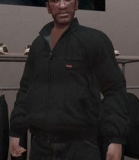 Files to replace Dark Golf Jacket (uppr_009_u.wft, uppr_diff_009_b_uni.wft) in GTA 4 (18 files)