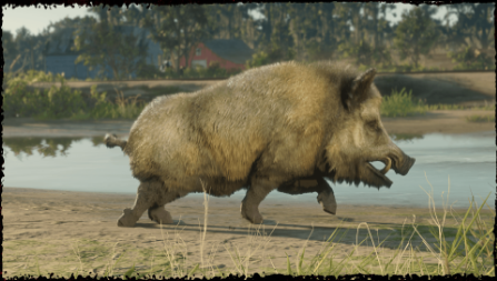 Read Dead Online: Golden Spirit Bear and boar transformation