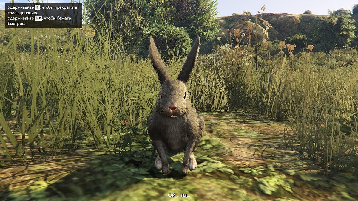 GTA Online Weekly Update: Turn into a Rabbit with Peyote Plants
