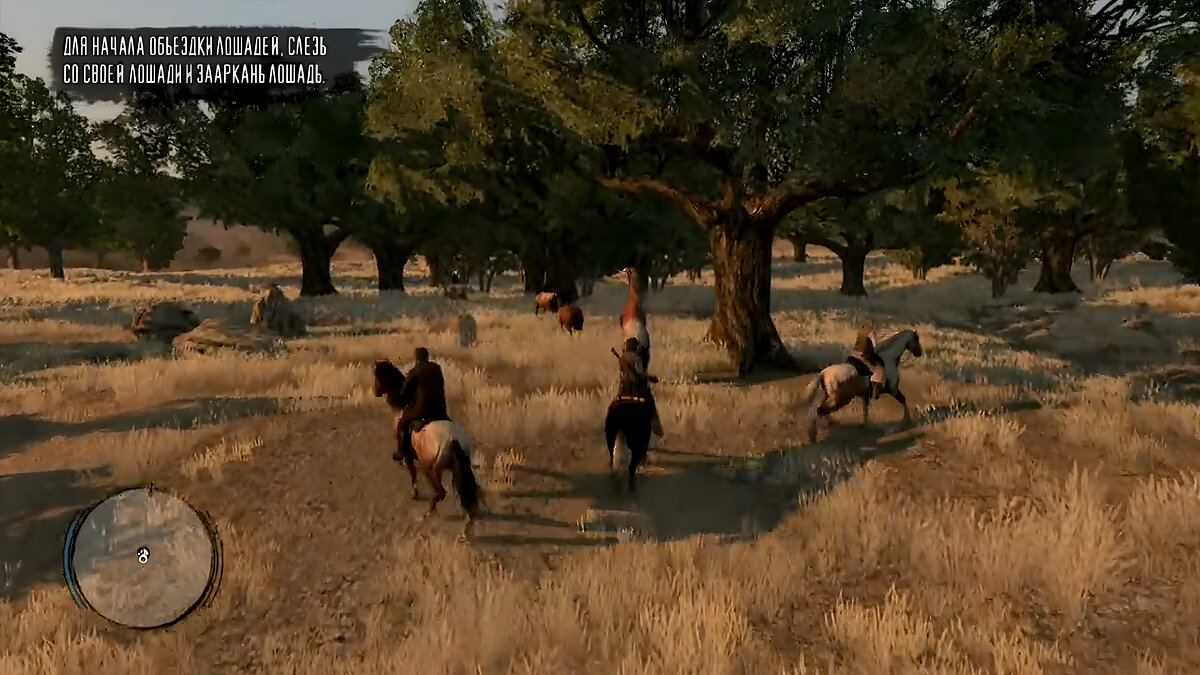 Wild Horses, Tamed Passions — Red Dead Redemption Mission Walkthrough