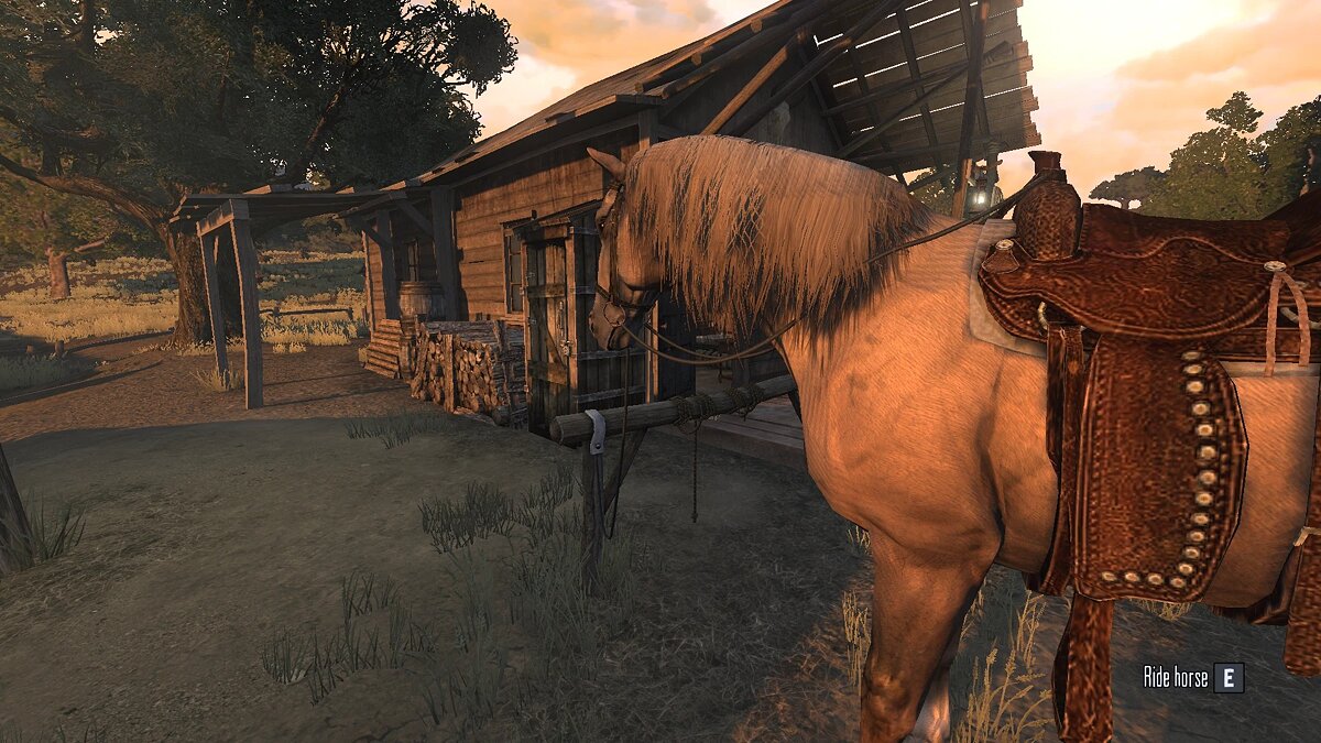 First person mod released for Red Dead Redemption - screenshots