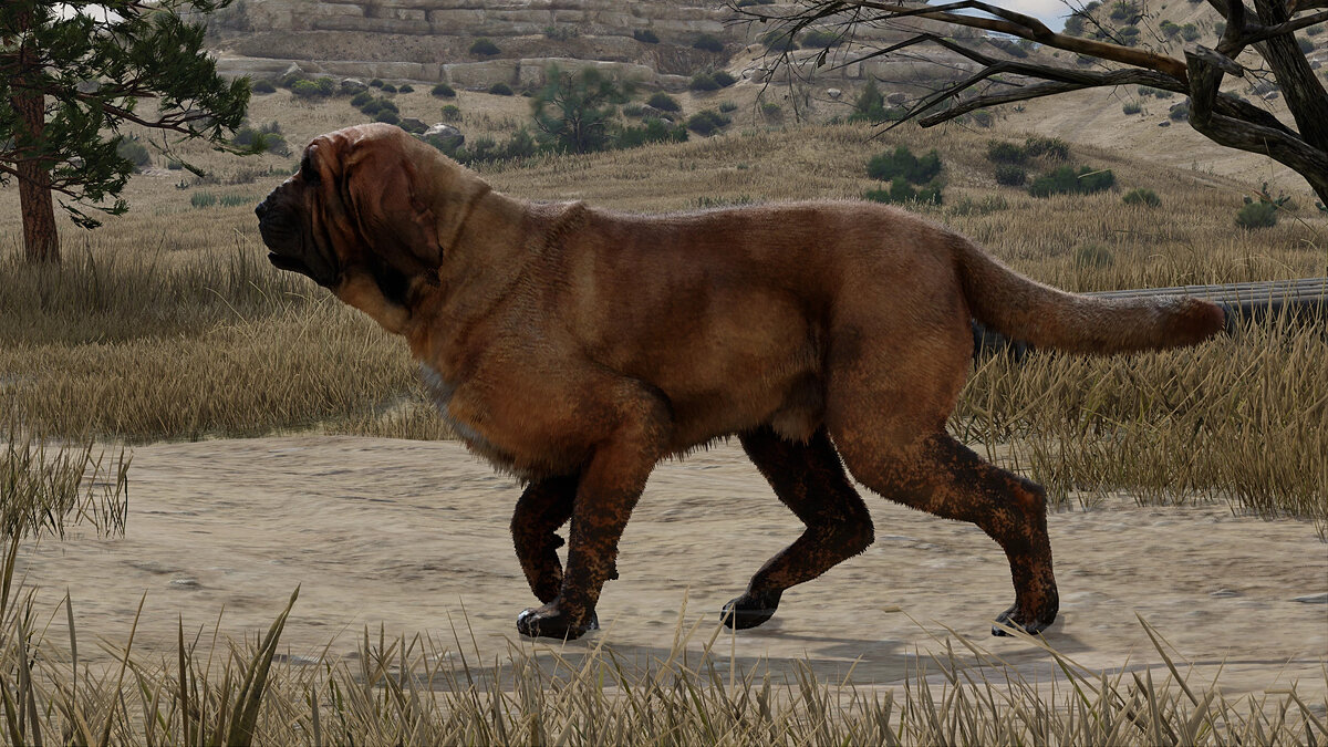 Red Dead Redemption 2 Mod Improves Animal Fur Realism