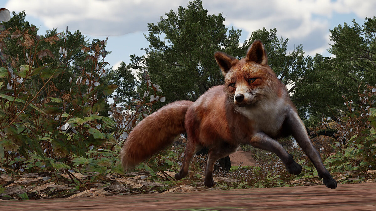 Red Dead Redemption 2 Mod Improves Animal Fur Realism