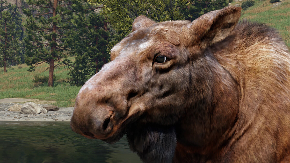 Red Dead Redemption 2 Mod Improves Animal Fur Realism